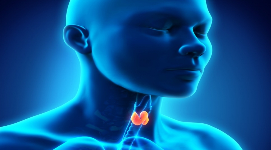 Cancer et maladies de la thyroïde